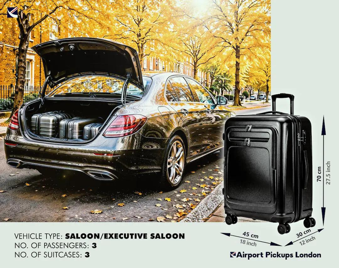 Saloon luggage 1