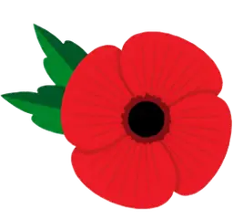 Remembrance Day poppy